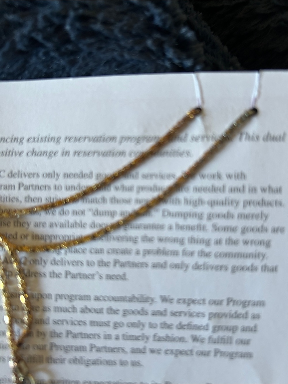 2012 Sacagawea Pendant Necklace - Picture 8 of 13